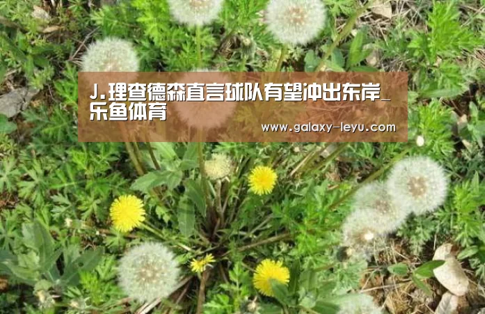 J.理查德森直言球队有望冲出东岸_乐鱼体育(图1) 乐鱼官方版正版安装