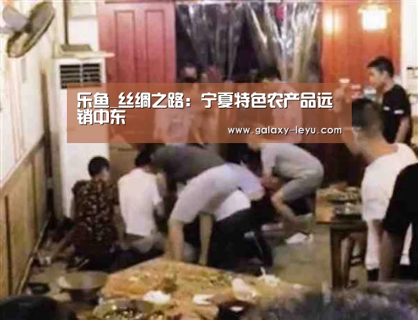 乐鱼_丝绸之路:宁夏特色农产品远销中东(图1) 乐鱼