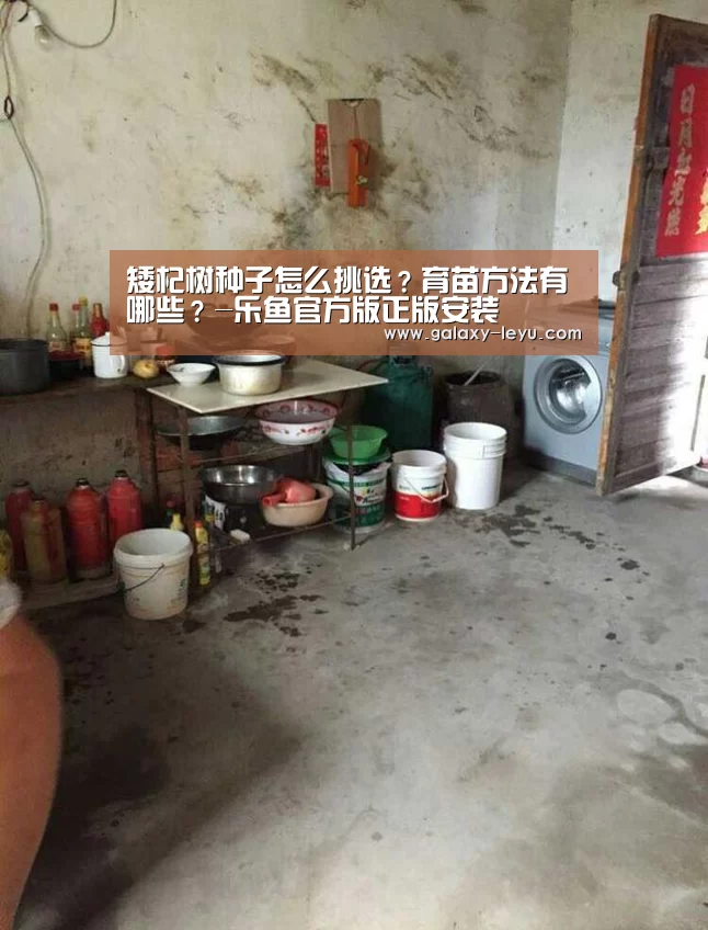 矮杞树种子怎么挑选?育苗方法有哪些?-乐鱼官方版正版安装(图1) 乐鱼官方版正版安装