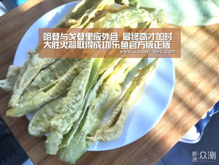 乐鱼体育