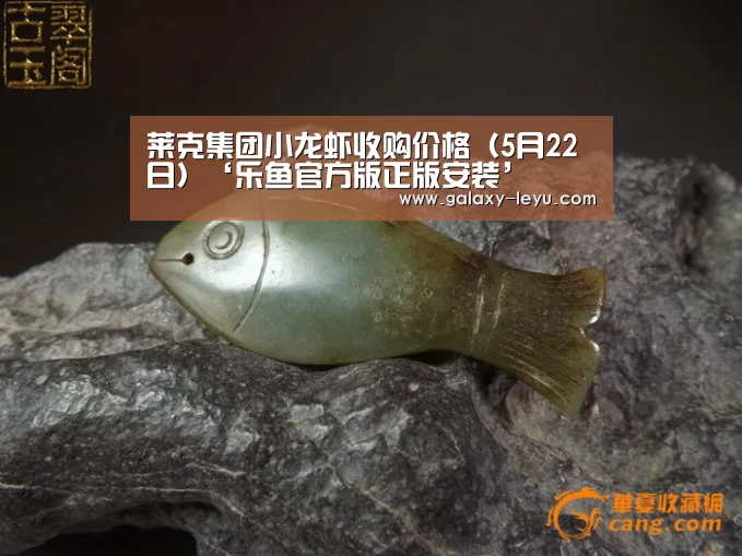 乐鱼