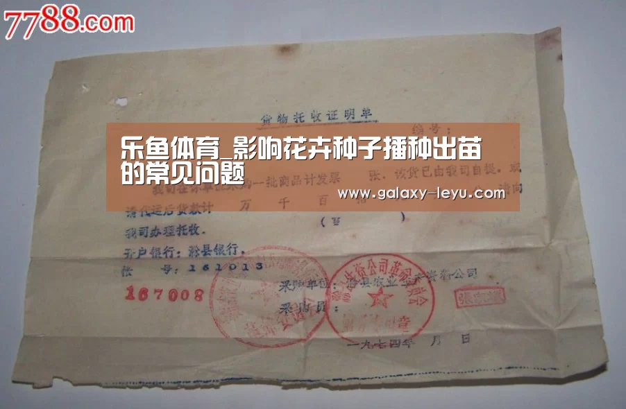 乐鱼官方版正版安装