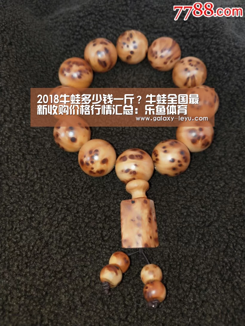 乐鱼官方版正版安装