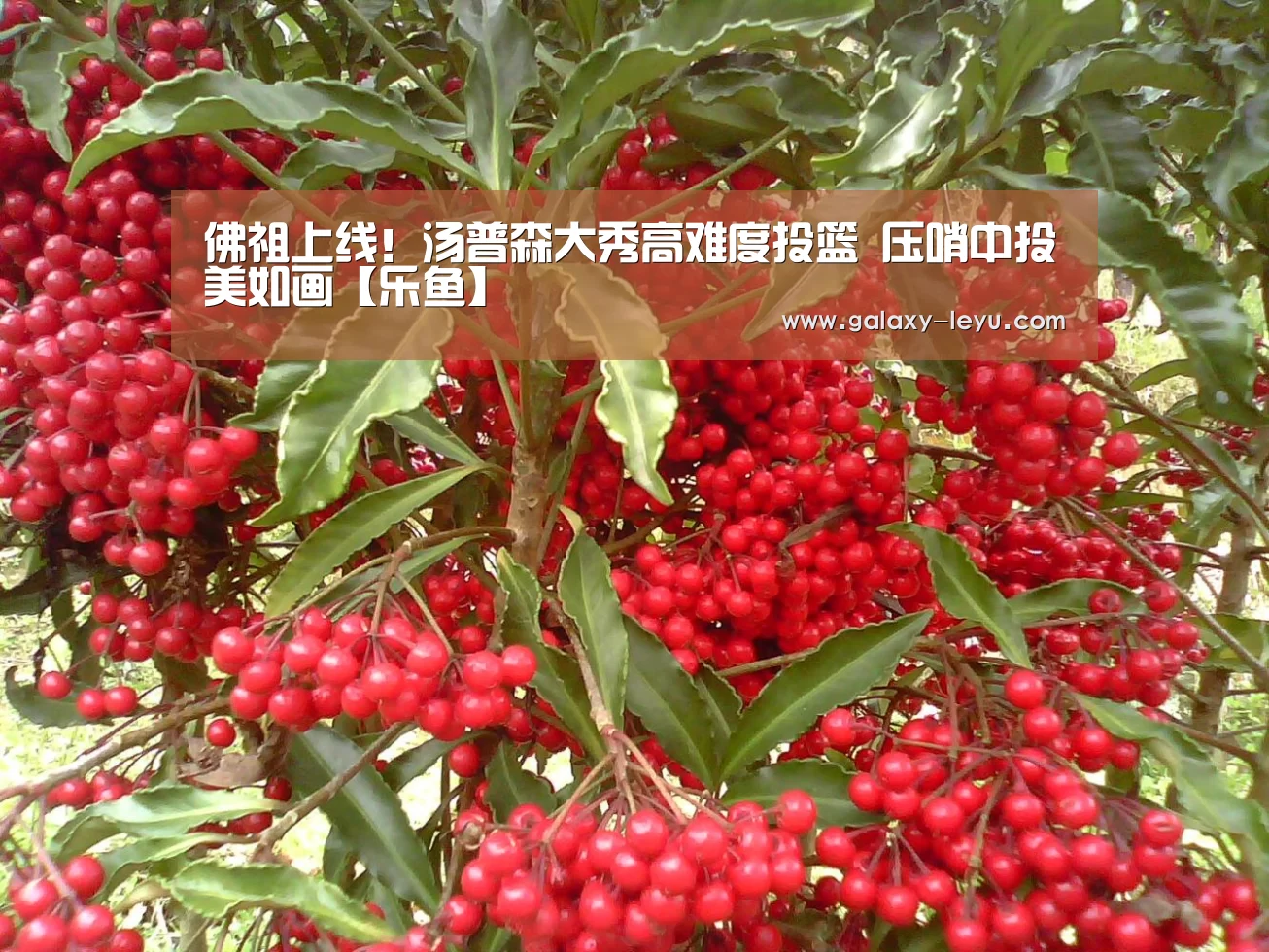 佛祖上线!汤普森大秀高难度投篮 压哨中投美如画【乐鱼】(图3) 乐鱼