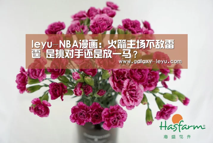 乐鱼