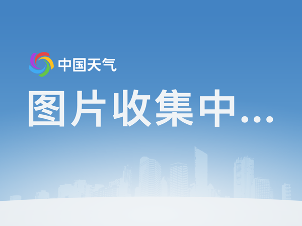 现在小米多少钱一斤?2018年最新国内小米产区价格汇总‘乐鱼’(图1) 乐鱼官方版正版安装