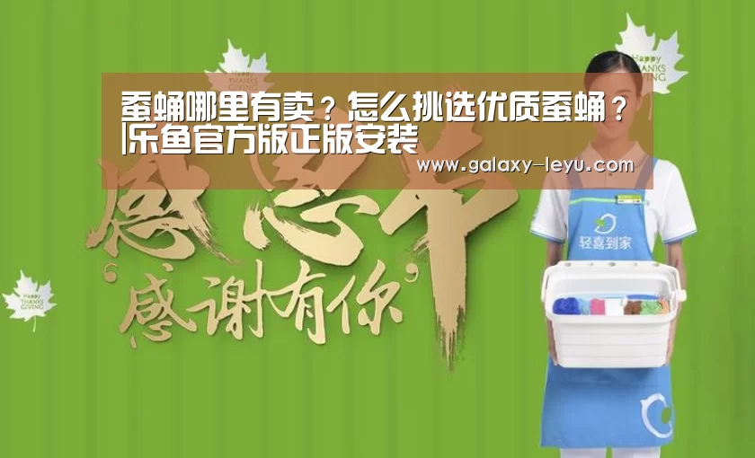 乐鱼官方版正版安装